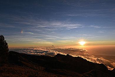 泉达也离开“日本一”软件 成为自由职业者